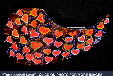 “Tortoiseshell Love” - CLICK ON PHOTO FOR MORE IMAGES