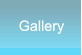 Gallery Gallery